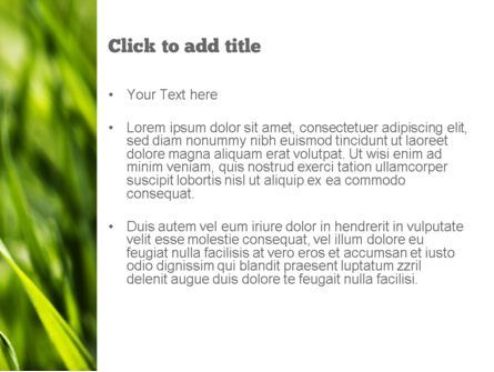 緑の草のテーマ - PowerPointテンプレート, スライド 3, 11368, 自然＆環境 — PoweredTemplate.com