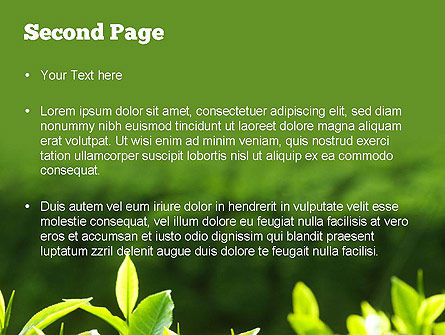 Modèle PowerPoint de jeunes feuilles de thé, Diapositive 2, 11382, Agriculture — PoweredTemplate.com