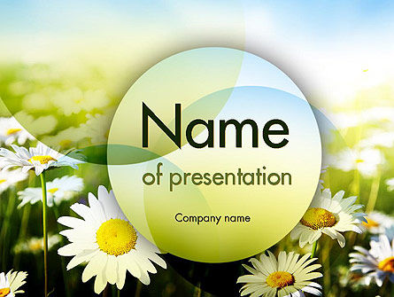 Daisy In De Zon PowerPoint Template, PowerPoint-sjabloon, 11489, Natuur & Milieu — PoweredTemplate.com