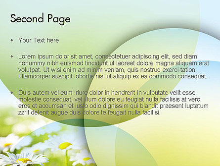 파워포인트 템플릿 - 햇빛에 데이지, 슬라이드 2, 11489, 자연 및 환경 — PoweredTemplate.com