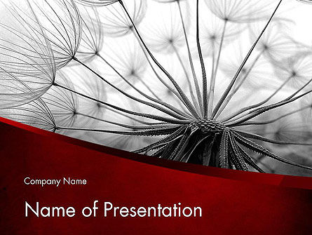 WEB Concept PowerPoint Template, Free PowerPoint Template, 11614, Nature & Environment — PoweredTemplate.com