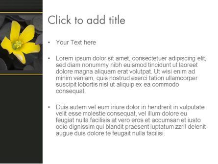 Gelbe blume auf grauen blättern PowerPoint Vorlage, Folie 3, 13760, Natur & Umwelt — PoweredTemplate.com