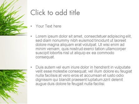 Modèle PowerPoint de patch herbe, Diapositive 3, 14006, Nature / Environnement — PoweredTemplate.com