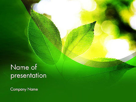 半透明的绿叶PowerPoint模板, 免费 PowerPoint模板, 14108, 自然与环境 — PoweredTemplate.com