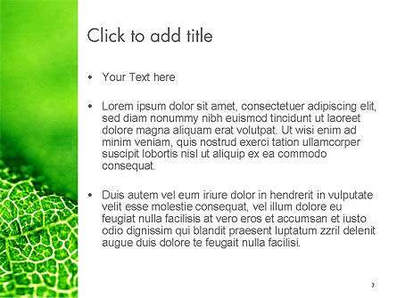 Green Leaf Texture PowerPoint Template, Slide 3, 14155, Nature & Environment — PoweredTemplate.com