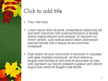 Modelo do PowerPoint - queda folhas borda quadro, Deslizar 3, 14208, Natureza e Ambiente — PoweredTemplate.com