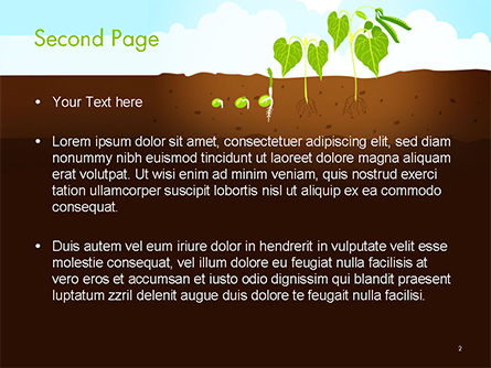 Peas Plant Growth Illustration PowerPoint Template, Slide 2, 14680, Agriculture — PoweredTemplate.com