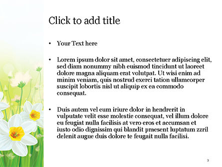 Daffodils PowerPoint Template, Slide 3, 15138, Nature & Environment — PoweredTemplate.com