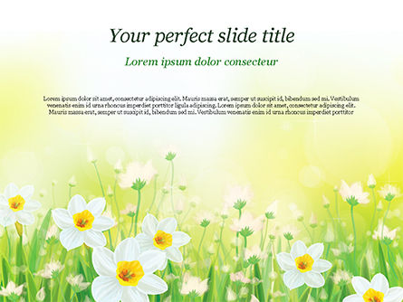 Daffodils PowerPoint Template, PowerPoint Template, 15138, Nature & Environment — PoweredTemplate.com