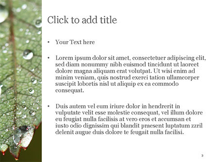 Plantilla de PowerPoint - hojas y gotas de agua., Diapositiva 3, 15253, Naturaleza y medio ambiente — PoweredTemplate.com