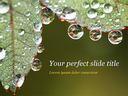 Leaf and Water Drops PowerPoint Template, Free PowerPoint Template, 15253, Nature & Environment — PoweredTemplate.com