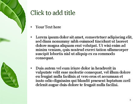 Green Tea Leaves PowerPoint Template, Slide 3, 15273, 3D — PoweredTemplate.com