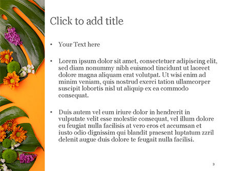 Plantilla de PowerPoint - monstera de hojas y flores., Diapositiva 3, 15350, Naturaleza y medio ambiente — PoweredTemplate.com