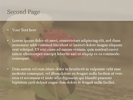 Teddybär mit einer rose PowerPoint Vorlage, Folie 2, 15441, Ferien/besondere Anlässe — PoweredTemplate.com