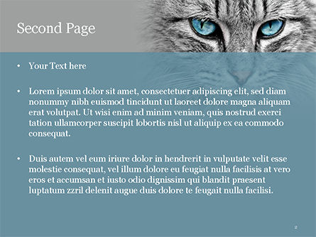 파워포인트 템플릿 - 파란 눈을 가진 고양이, 슬라이드 2, 15490, 일반 — PoweredTemplate.com