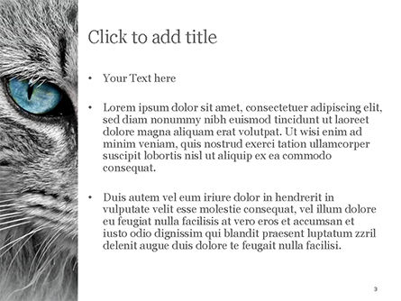 Cat with Blue Eyes PowerPoint Template, Slide 3, 15490, General — PoweredTemplate.com