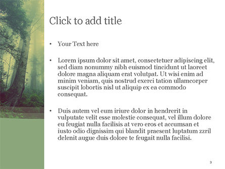 暗い森 - PowerPointテンプレート, スライド 3, 15549, 自然＆環境 — PoweredTemplate.com