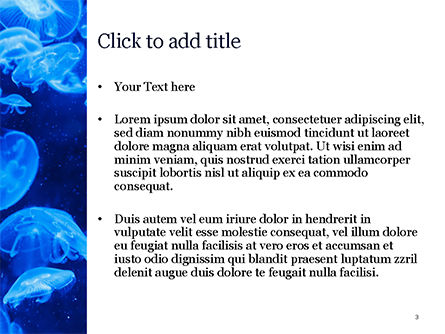 Group of Bioluminescent Jellyfish PowerPoint Template, Slide 3, 15573, Nature & Environment — PoweredTemplate.com