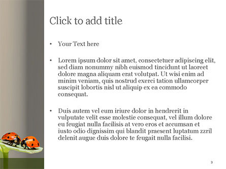 파워포인트 템플릿 - 곤충 의사 소통, 슬라이드 3, 15588, 자연 및 환경 — PoweredTemplate.com
