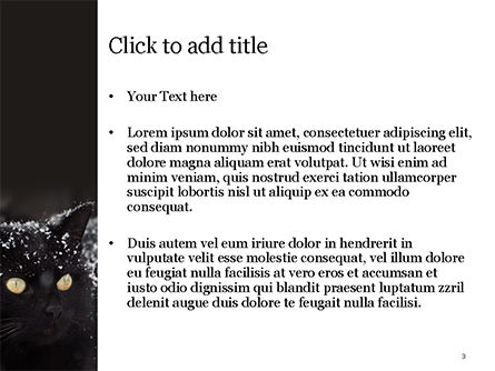 美丽的黑猫PowerPoint模板, 幻灯片 3, 15604, 通用 — PoweredTemplate.com