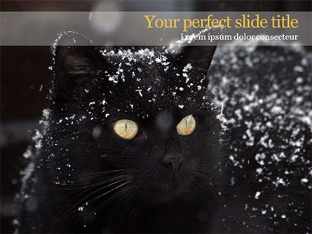 Beautiful Black Cat PowerPoint Template, Free PowerPoint Template, 15604, General — PoweredTemplate.com