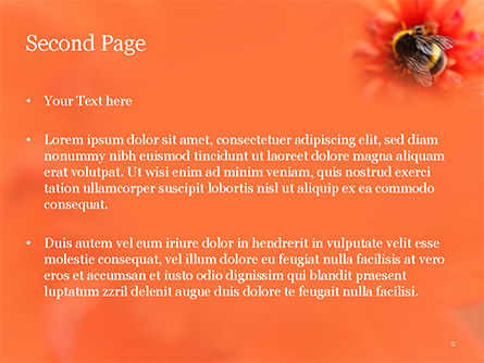 Bumblebee on Flower PowerPoint Template, Slide 2, 15633, Nature & Environment — PoweredTemplate.com