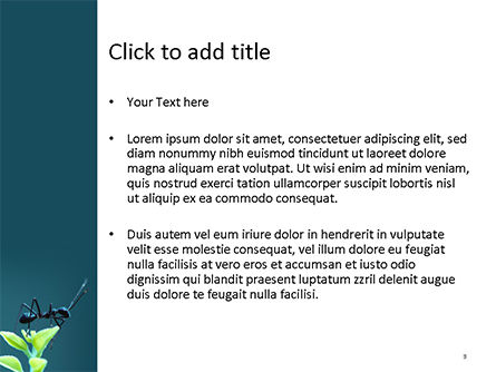 파워포인트 템플릿 - 검은 개미, 슬라이드 3, 15638, 자연 및 환경 — PoweredTemplate.com