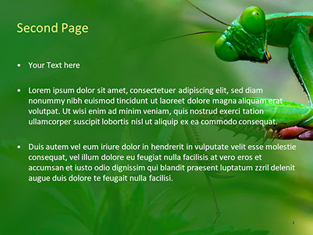 Plantilla de PowerPoint - mantis, Diapositiva 2, 15647, Naturaleza y medio ambiente — PoweredTemplate.com