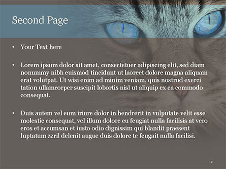 Siberian Cat PowerPoint Template, Slide 2, 15653, Nature & Environment — PoweredTemplate.com