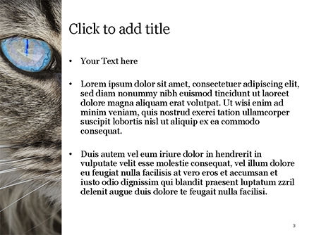 Siberian Cat PowerPoint Template, Slide 3, 15653, Nature & Environment — PoweredTemplate.com