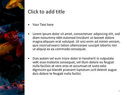 Modello PowerPoint - Pesce koi, Slide 3, 15665, Natura & Ambiente — PoweredTemplate.com