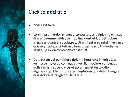 ジンベイザメ - PowerPointテンプレート, スライド 3, 15666, 自然＆環境 — PoweredTemplate.com