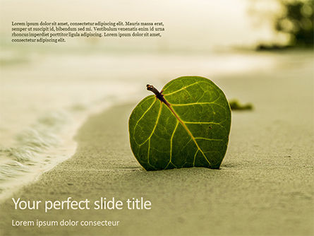 Leaf in Sand on the Beach PowerPoint Template, Free PowerPoint Template, 15672, Nature & Environment — PoweredTemplate.com