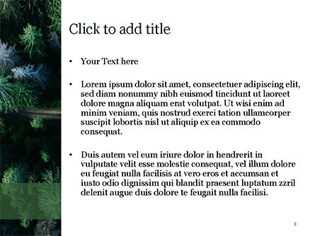 Modèle PowerPoint de voler au-dessus d'un sentier forestier éloigné, Diapositive 3, 15677, Nature / Environnement — PoweredTemplate.com