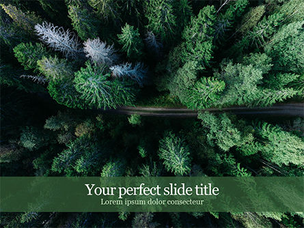 Flying Above a Remote Forest Path PowerPoint Template, PowerPoint Template, 15677, Nature & Environment — PoweredTemplate.com