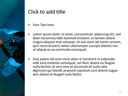 Libelle auf einem stiel PowerPoint Vorlage, Folie 3, 15684, Natur & Umwelt — PoweredTemplate.com