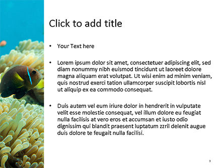 Modèle PowerPoint de photo sous-marine du récif de corail, Diapositive 3, 15685, Nature / Environnement — PoweredTemplate.com