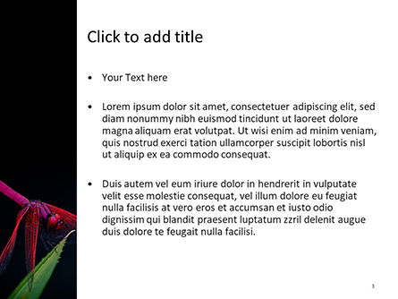 Modèle PowerPoint de libellule rose, Diapositive 3, 15697, Nature / Environnement — PoweredTemplate.com