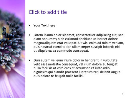 紫のアネモネs - PowerPointテンプレート, スライド 3, 15700, 自然＆環境 — PoweredTemplate.com