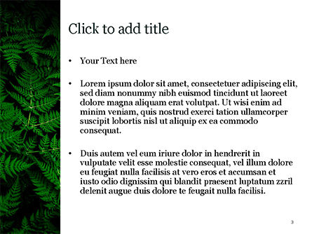 파워포인트 템플릿 - 고사리 잎, 슬라이드 3, 15703, 자연 및 환경 — PoweredTemplate.com