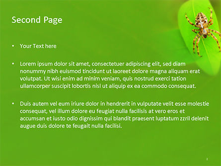 Plantilla de PowerPoint gratis - araña cruzada, Diapositiva 2, 15720, Naturaleza y medio ambiente — PoweredTemplate.com