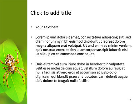 Plantilla de PowerPoint gratis - araña cruzada, Diapositiva 3, 15720, Naturaleza y medio ambiente — PoweredTemplate.com