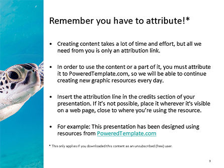 Marine Turtle PowerPoint Template, Slide 3, 15731, Nature & Environment — PoweredTemplate.com