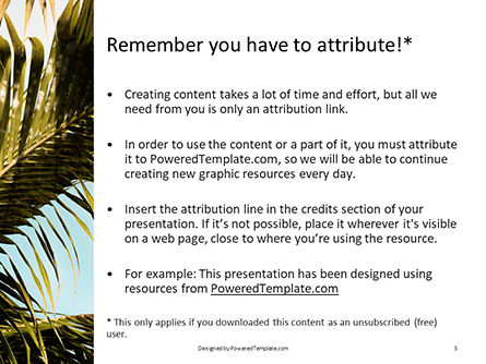 棕榈叶对绿松石的天空免费PowerPoint模板, 幻灯片 3, 15769, 自然与环境 — PoweredTemplate.com