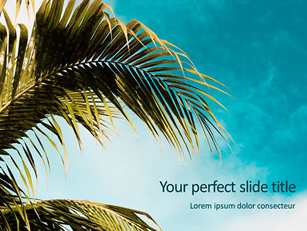 Modèle PowerPoint gratuit de feuilles de palmier contre le ciel turquoise, Gratuit Modele PowerPoint, 15769, Nature / Environnement — PoweredTemplate.com