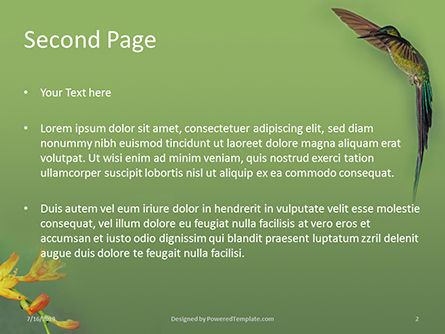 Plantilla de PowerPoint gratis - colibrí marrón cerca de flor de pétalo rojo, Diapositiva 2, 15777, Naturaleza y medio ambiente — PoweredTemplate.com