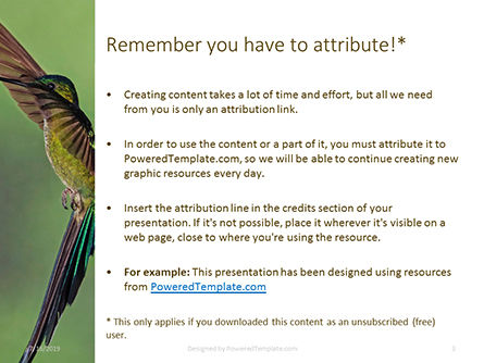 Plantilla de PowerPoint gratis - colibrí marrón cerca de flor de pétalo rojo, Diapositiva 3, 15777, Naturaleza y medio ambiente — PoweredTemplate.com
