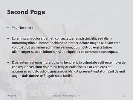 Modèle PowerPoint gratuit de guêpe garde son nid, Diapositive 2, 15778, Education & Training — PoweredTemplate.com