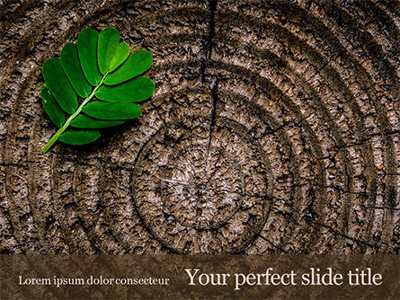 Green Leaf on a Tree Stump Presentation, PowerPoint Template, 15779, Nature & Environment — PoweredTemplate.com