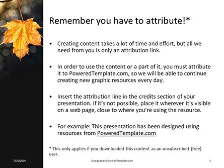 Yellow Maple Leaf on a Branch Presentation, Slide 3, 15797, Nature & Environment — PoweredTemplate.com